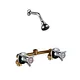 Wall-mounted Double handle Shower Faucet with Shower head